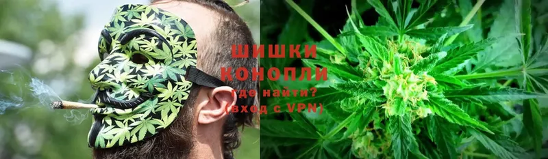 Конопля Ganja  мориарти состав  Мончегорск 